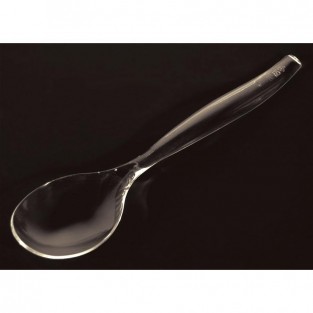 Spoon- Serving - 9" - Clear