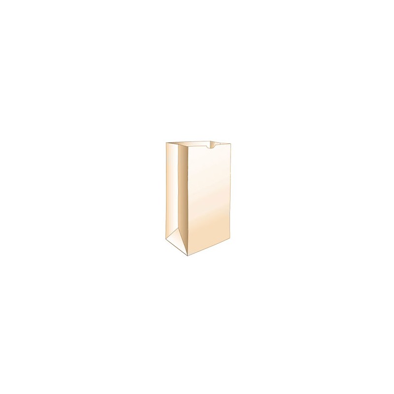 Bag - Grocery - Brown - 10lb