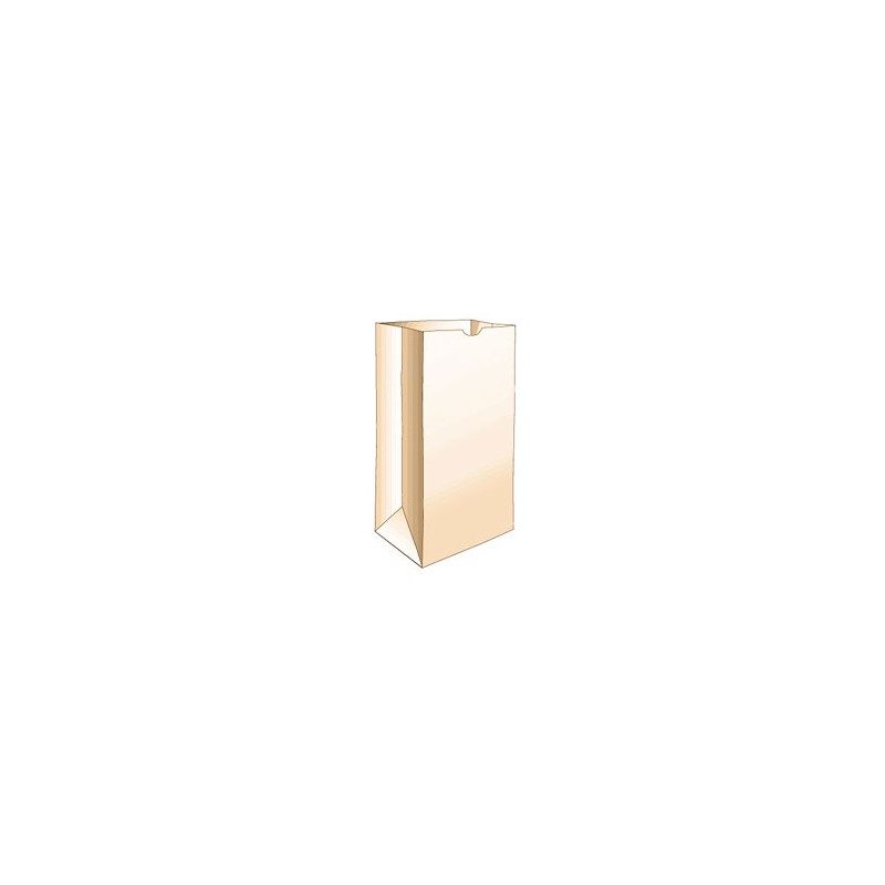 Bag - Grocery - 4lb