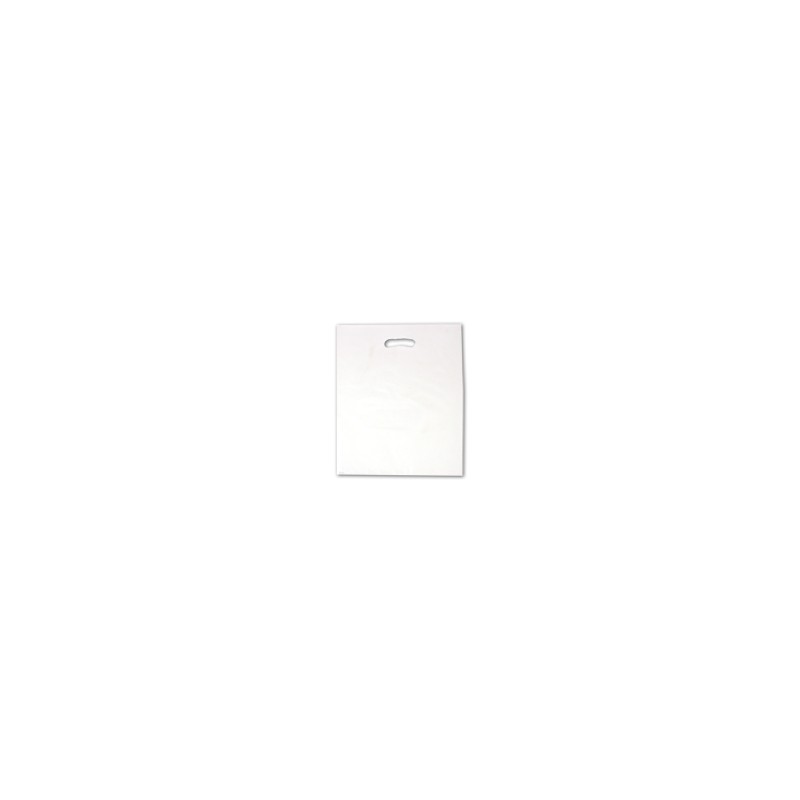 Bag - Flat - Frosty - 16x9