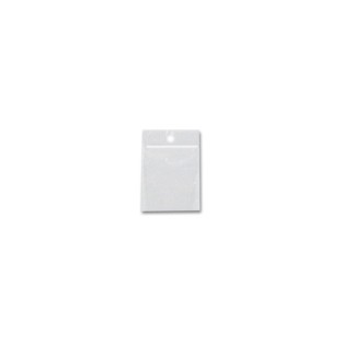 Bag - Ziploc - 2x2 - 100pk
