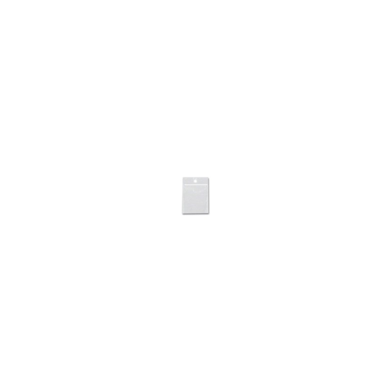 Bag - Ziploc - 2x2 - 100pk