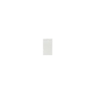 Bag - Ziploc - 2x3 - 100pk