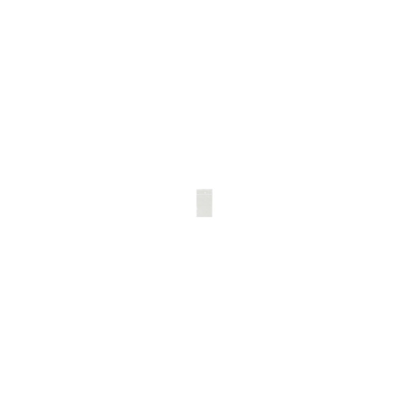 Bag - Ziploc - 2x3 - 100pk