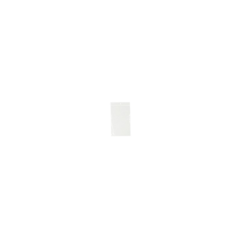 Bag - Ziploc - 5x8 - 100pk