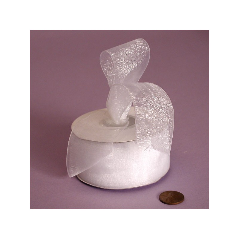 Ribbon - Sheer - 7/8inx25yd - White