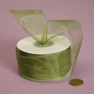 Ribbon - Sheer - 7/8inx25yd - Old Willow
