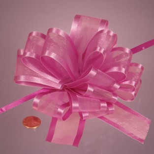 Bow - Pull - Sheer - 4in - Hot Pink