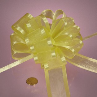 Bow - Pull - Sheer - 4in - Baby Maize