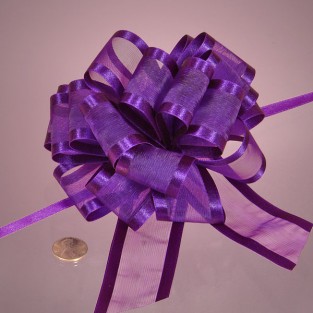 Bow - Pull - Sheer - 4in - Purple