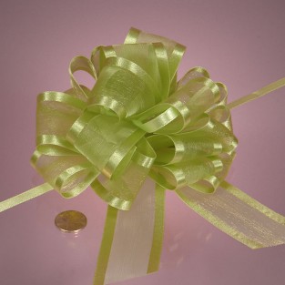 Bow - Pull - Sheer - 4in - Light Green
