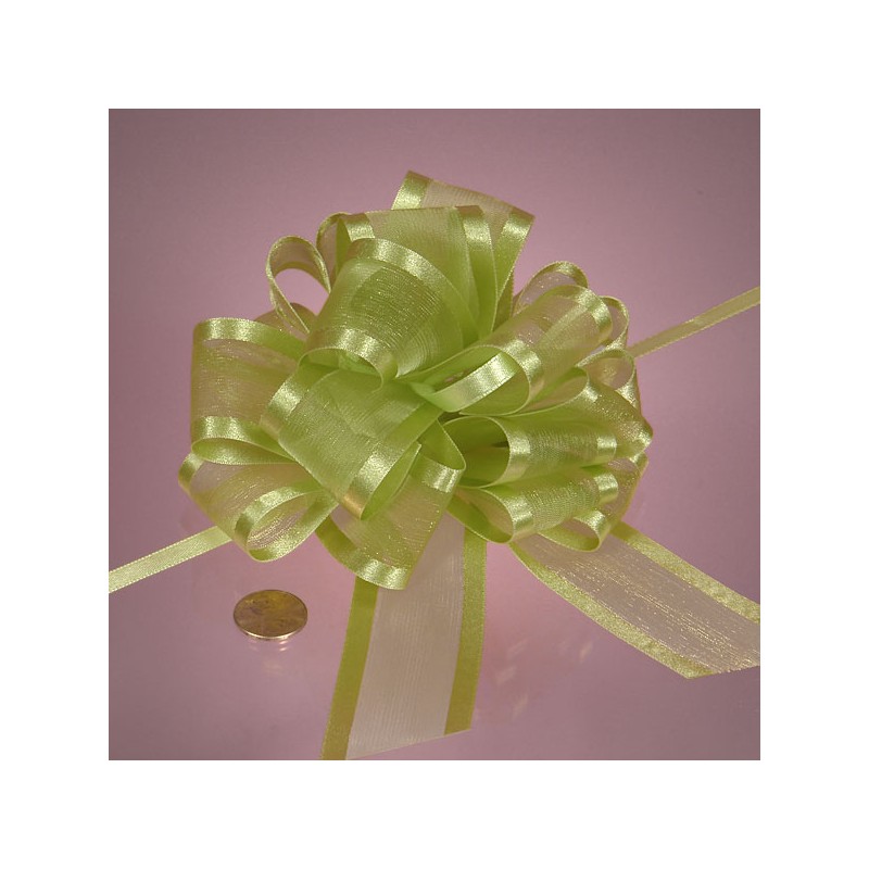 Bow - Pull - Sheer - 4in - Light Green