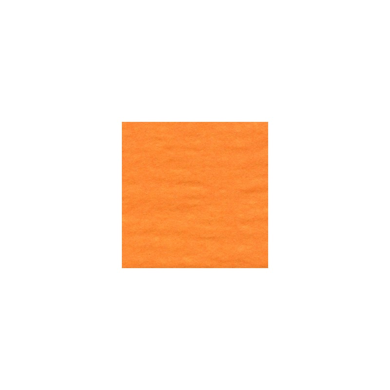 Tissue -  Apricot 24 sheets
