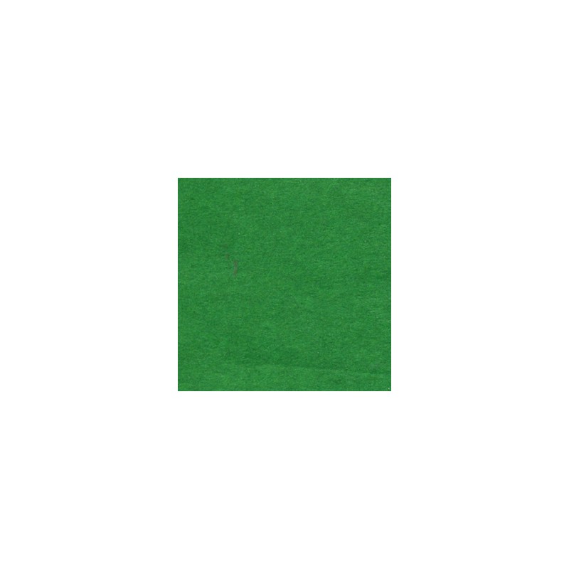 Tissue -  Kelly green 24 sheets