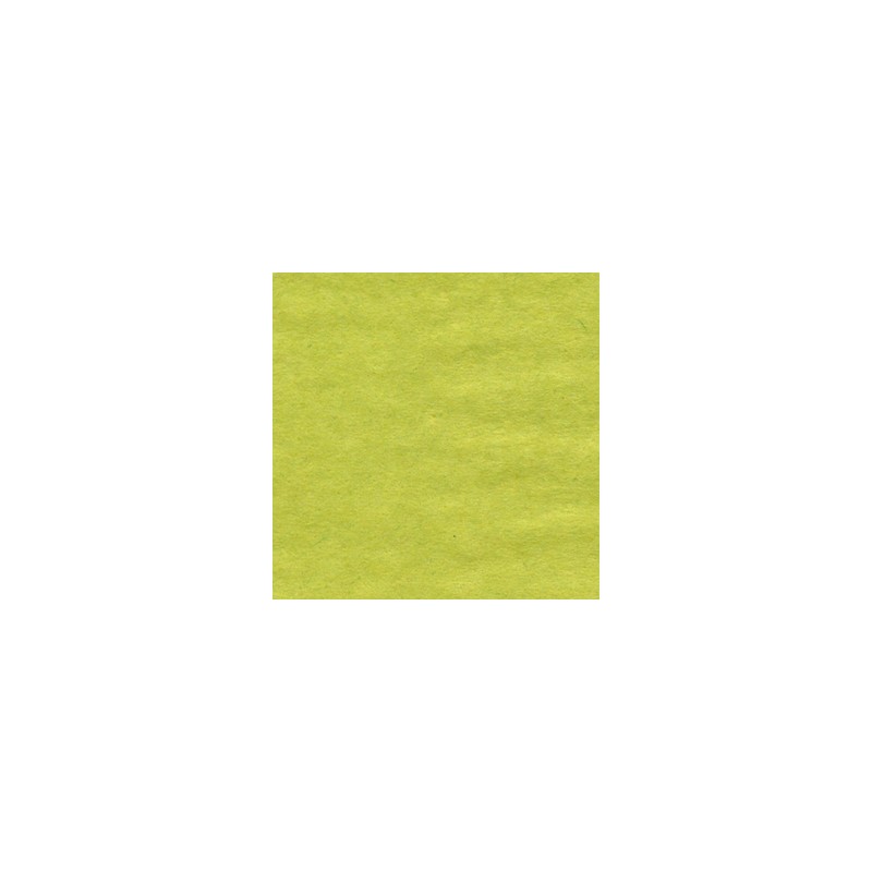 Tissue -  Pistachio 24 sheets