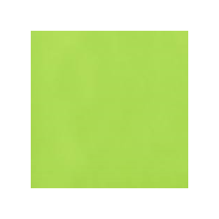 Giftwrap - Kiwi - Jumbo - 30"x16'