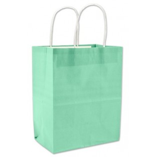 Bag - Cub - Mint Green