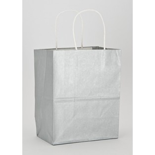 Bag - Cub - Silver