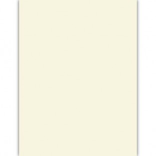 Cougar - Lee Plain Card - Natural