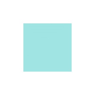 Gift Wrap - Robins Egg Blu – Jumbo-30” X 16'